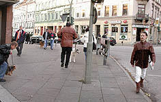 young Pedestrians with dogs