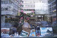 Travel agency window with reflections of Ministry of Economy, Hamburg.