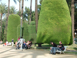 The main alley in the Parque Genoves, Cadiz.