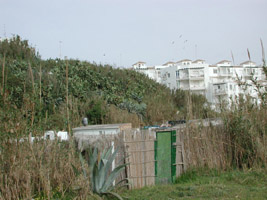 Sand track beyond Paseo del Atlántico, Conil de la Frontera