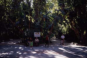 Paseo de la Alameda, Marbella