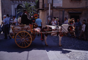 Contribute to feeding the horse if you want to take a photo - in Monreale
