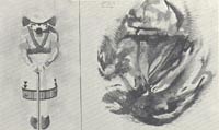 View article on Houston & Masters book on Psychedelic art