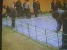 Setting up dog fight arena
