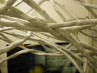tubes small