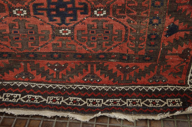 aina-kochak baluch - bottom field