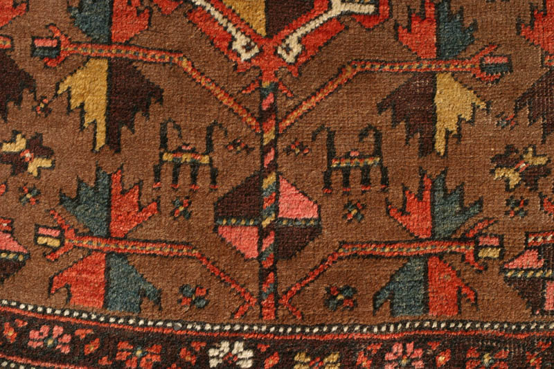 Bijar baluch pattern - field 1