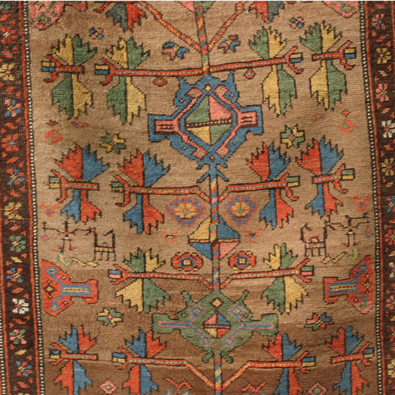 Bijar baluch pattern - field 4