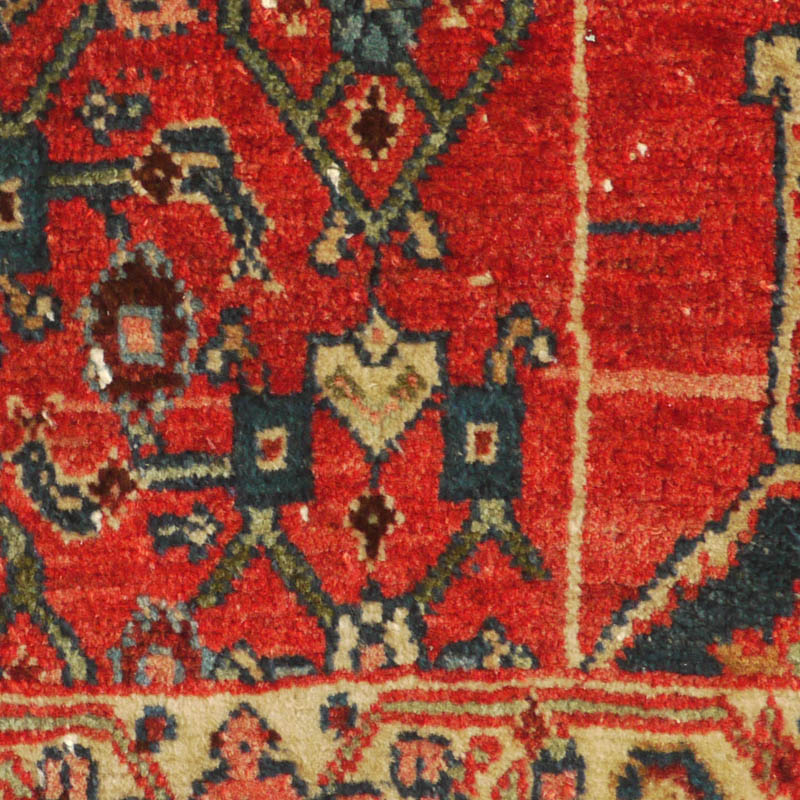 Bijar wagireh - field detail 2