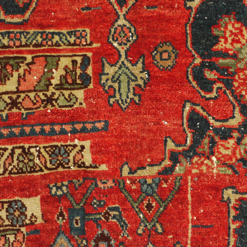 Bijar wagireh - field detail