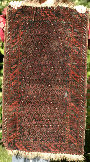 Baluch balisht face with botehs, before 1900—click to see enlarged view