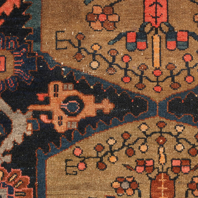 camel hamadan -  detail 1