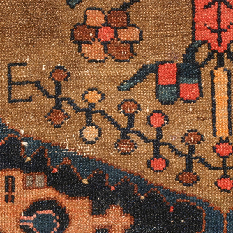 camel hamadan -  detail 5