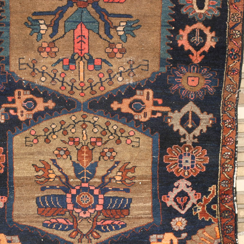camel hamadan -  bottom right