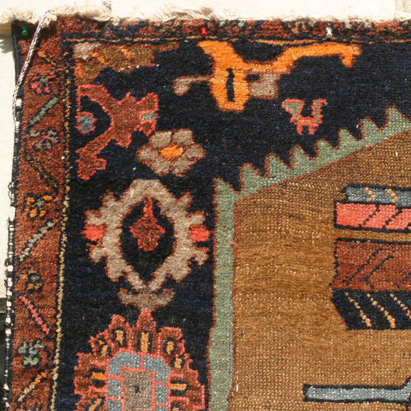 camel hamadan - top left