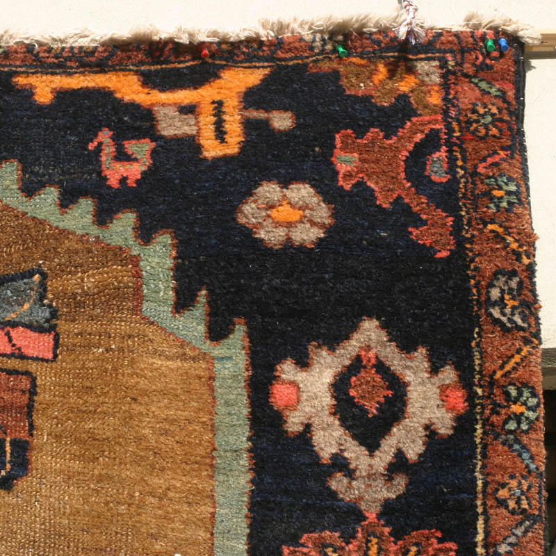 camel hamadan -  top right