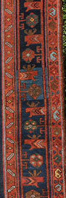 peacock-camel-kolyai-border