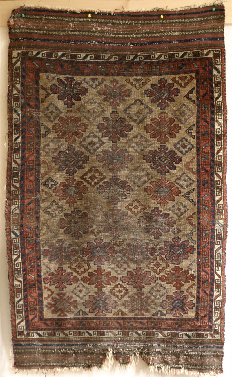 flower baluch - full view of front