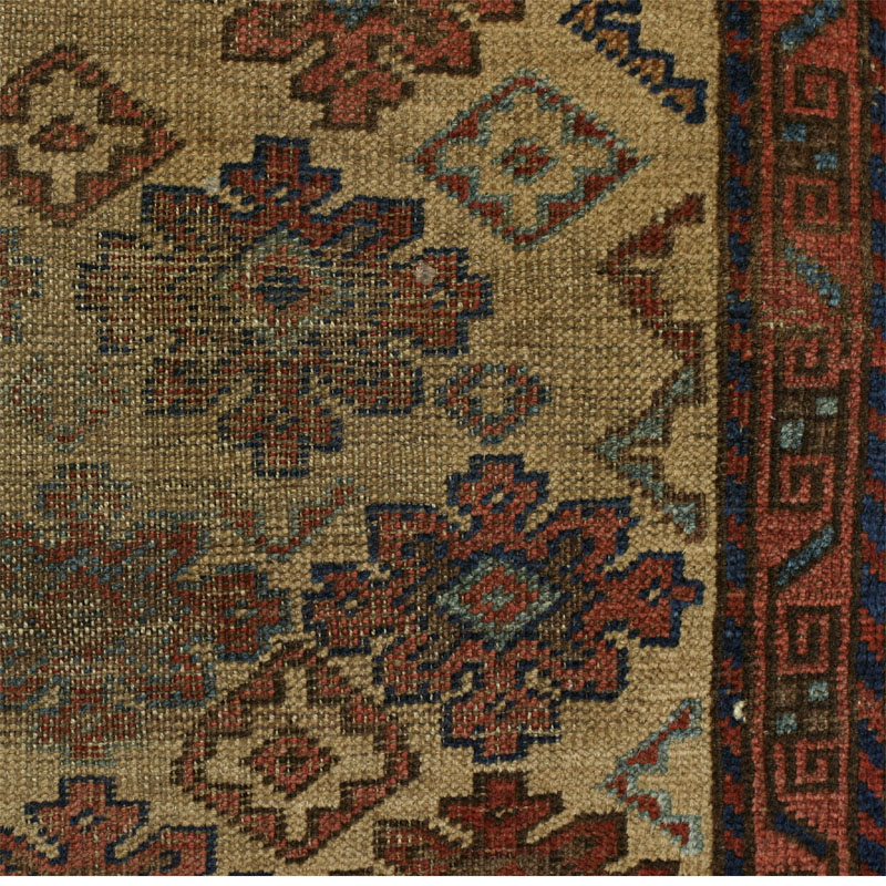 flower baluch -  front side wear detail