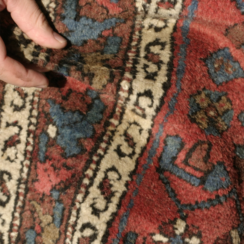 Hamadan Kalajuk- pile fold