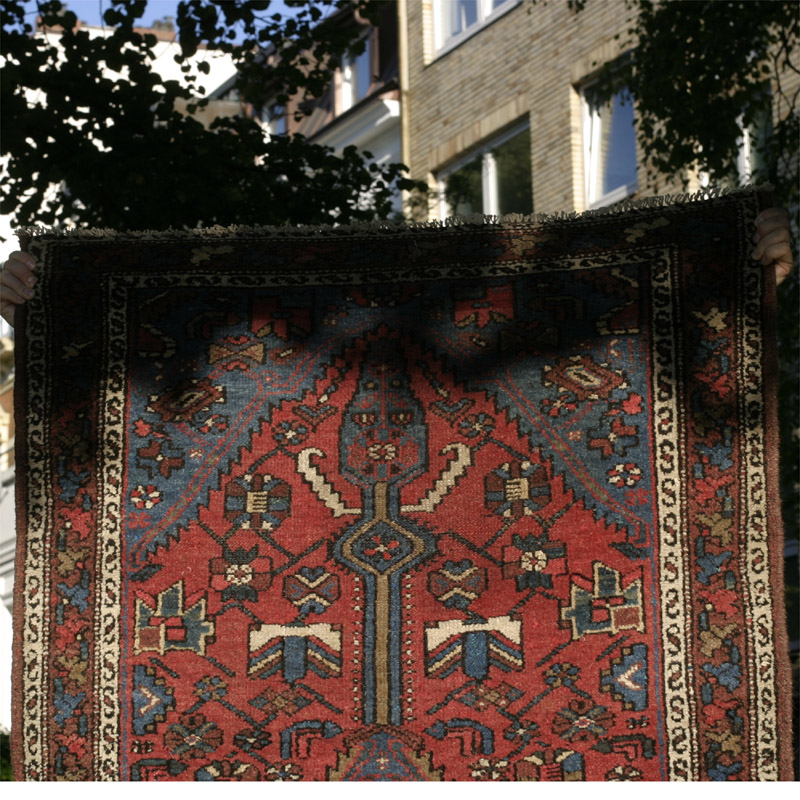Hamadan Kalajuk- top half