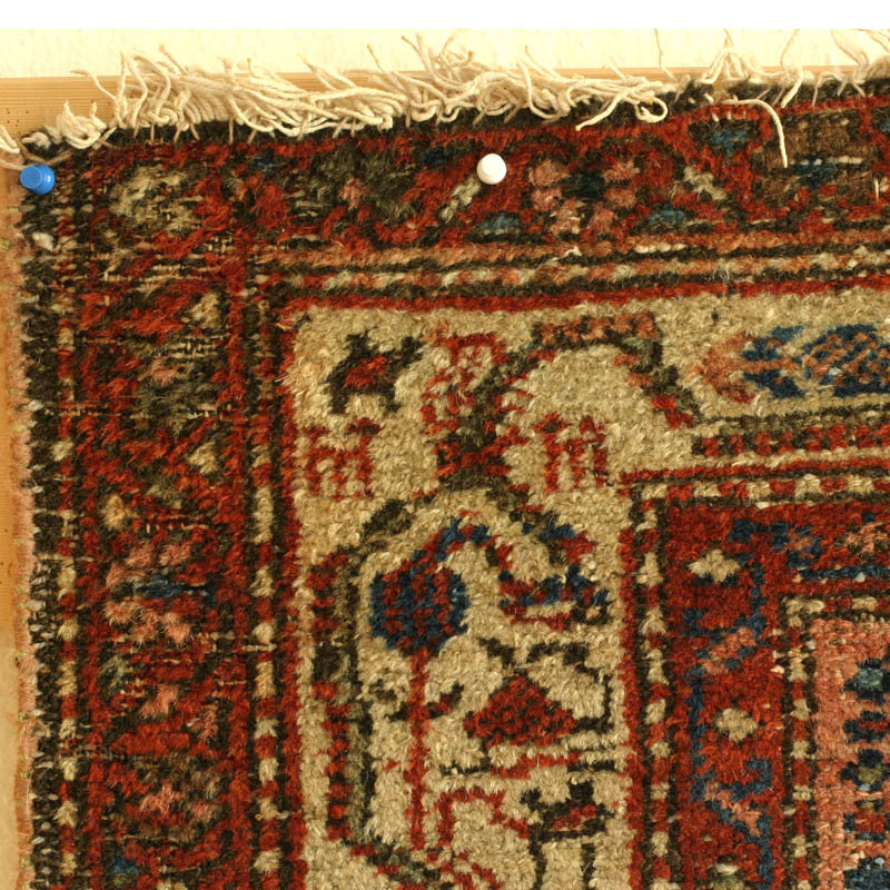 Kurdish Hamadan w animal border - topleft corner