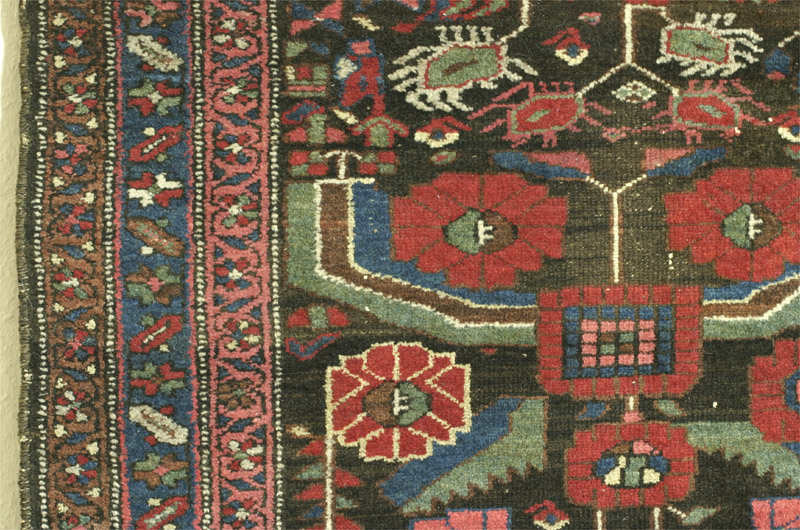Hamadan area kurd rug with herati pattern - central area