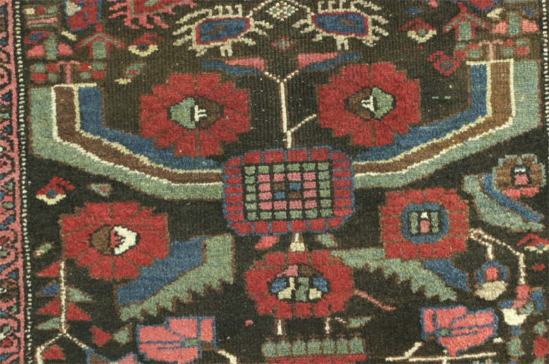 Hamadan area kurd rug with herati pattern - circle of flowers