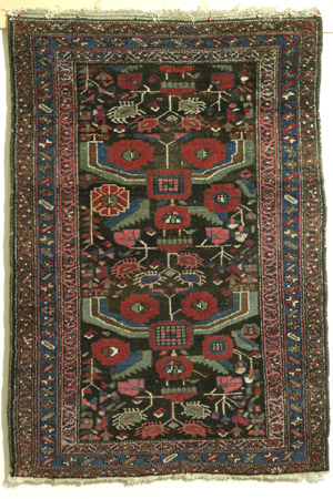 Kurdish Hamadan rug, sickle leaf design - click to see enlarged view