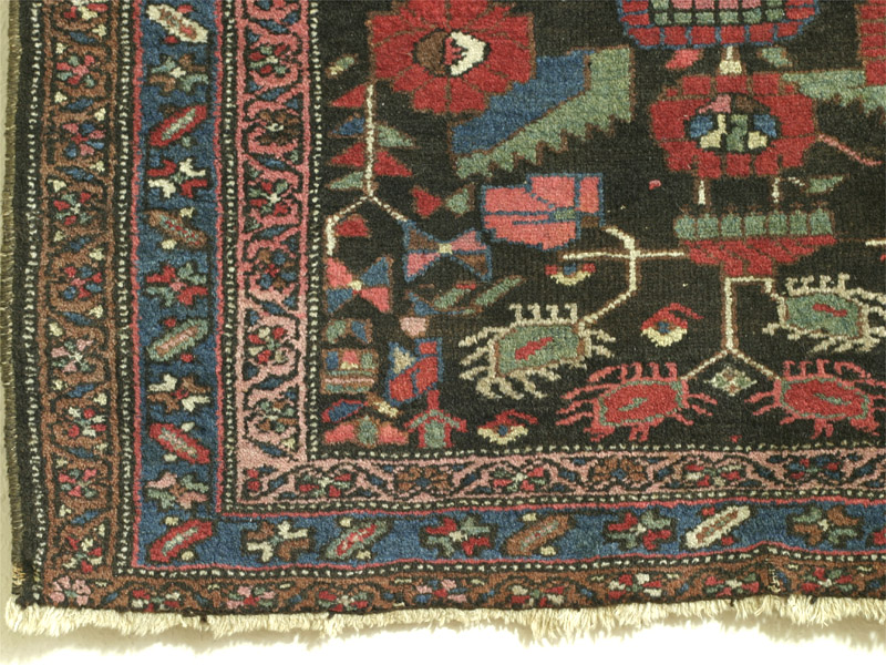 Hamadan area kurd rug with herati pattern - bottom left corner