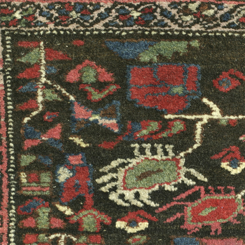 Hamadan area kurd rug with herati pattern - pile detail