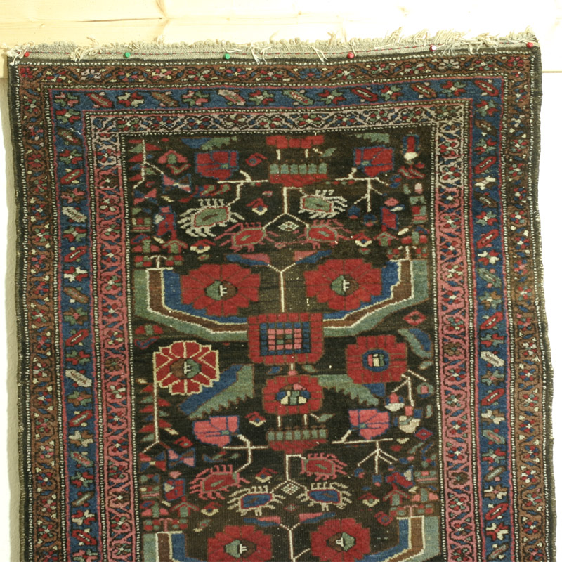 Hamadan area kurd rug with herati pattern - top half