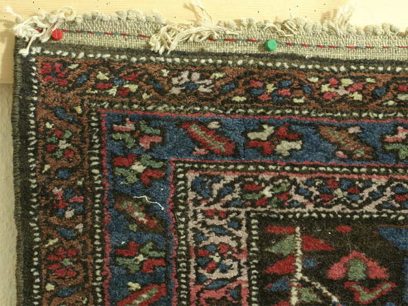 Hamadan area kurd rug with herati pattern - top right corner