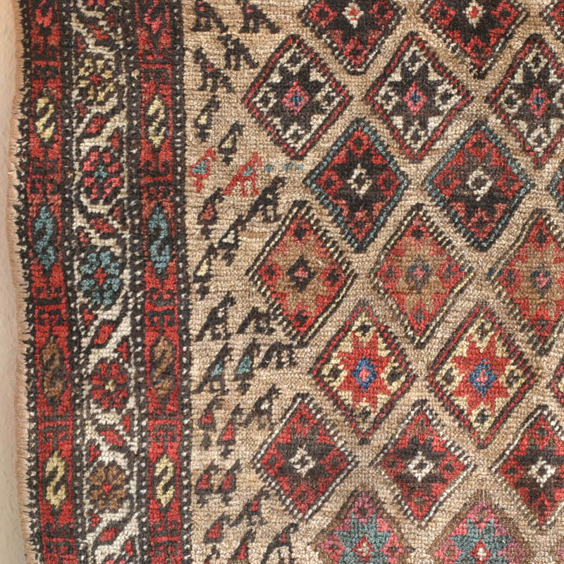 Kurdish Bijar w herd and men - the herd 1