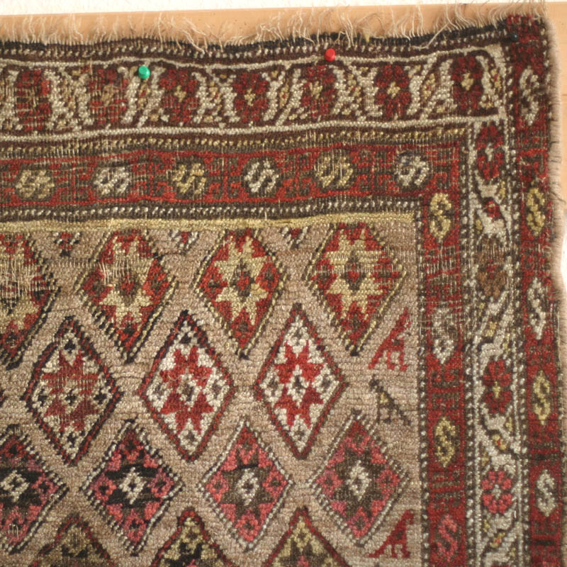 Kurdish Bijar w herd - topright corner