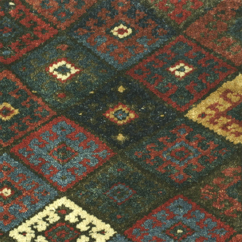 Jaf khorjin face - field close-up