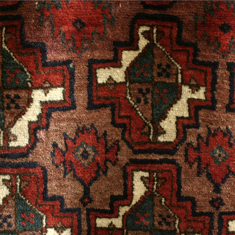 Jamshidi baluch - field detail