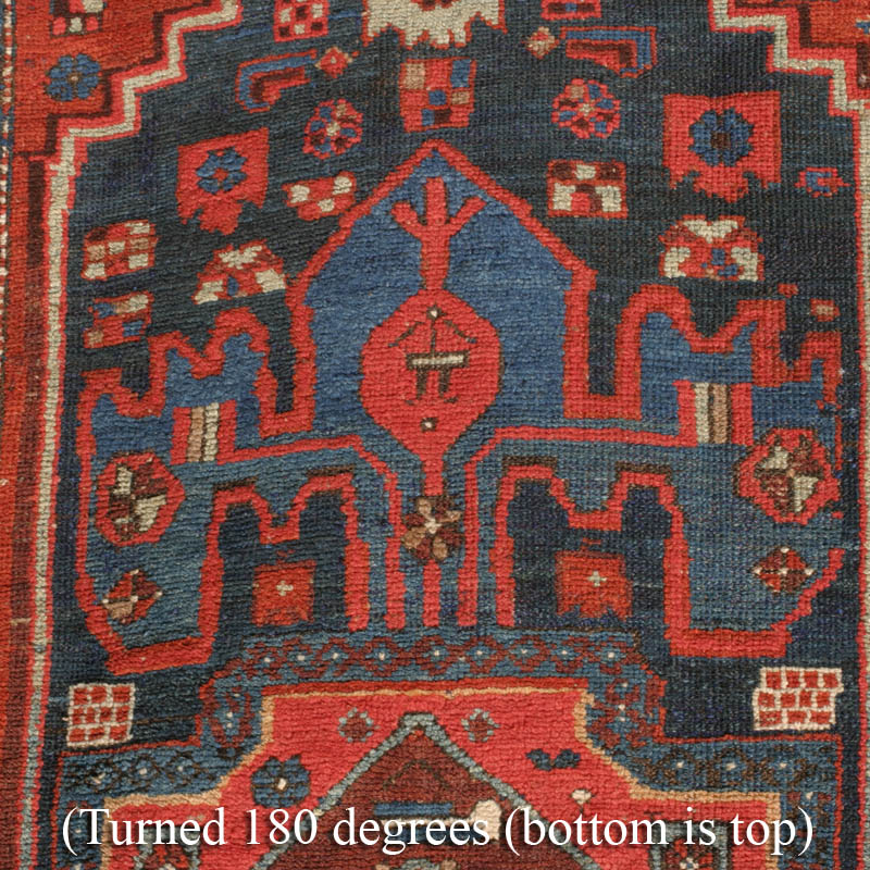 Kurd Kolyai turtle border - botom anchor turned 180 degrees