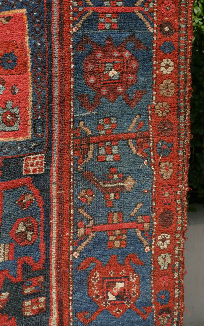 Kurd Kolyai turtle border - border design