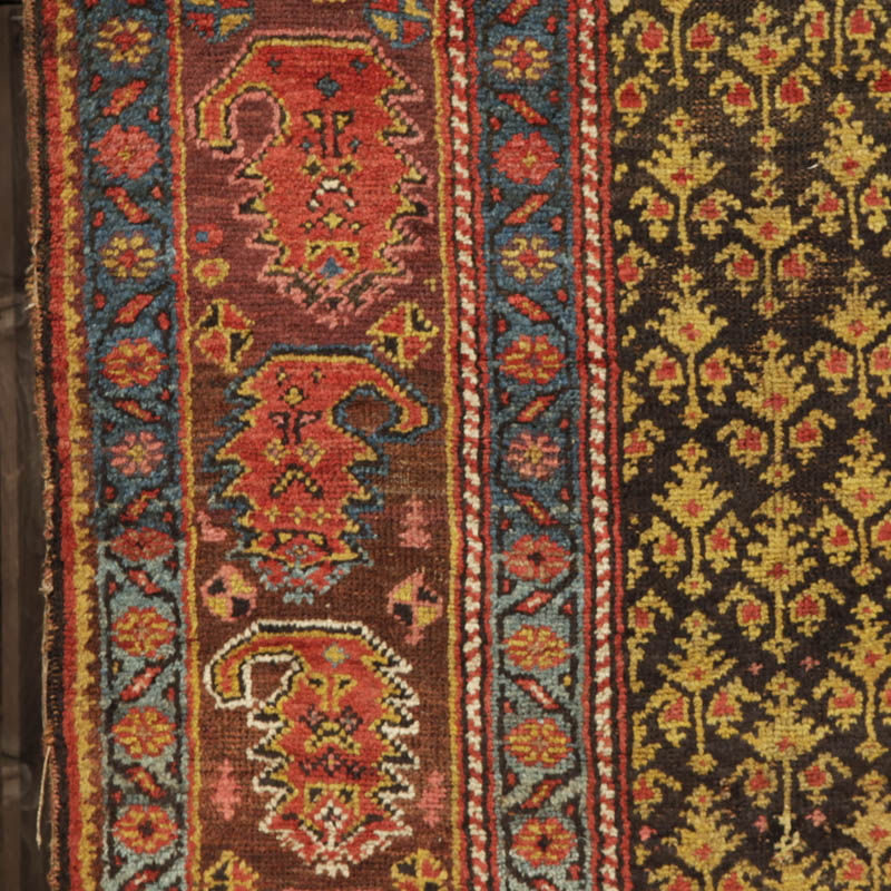 kurdish rug with large boteh border - border left side