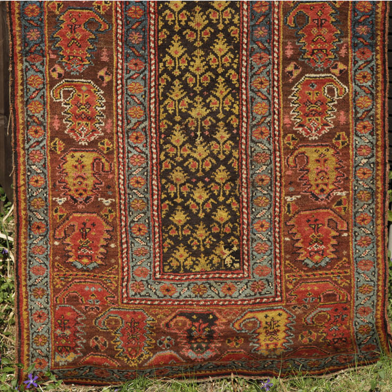 kurdish rug with large boteh border - lower half