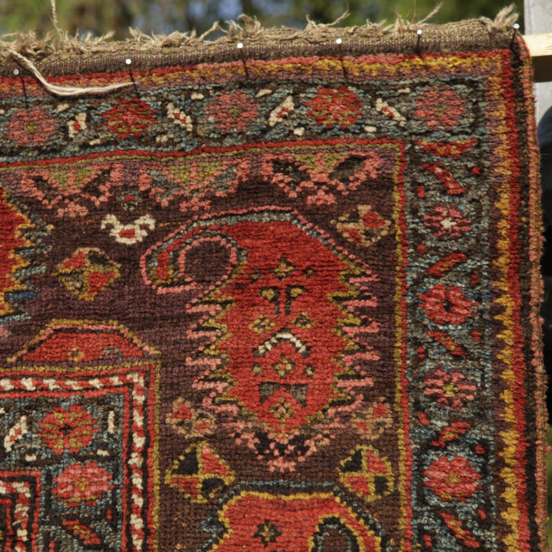 kurdish rug with large boteh border - top right corner 