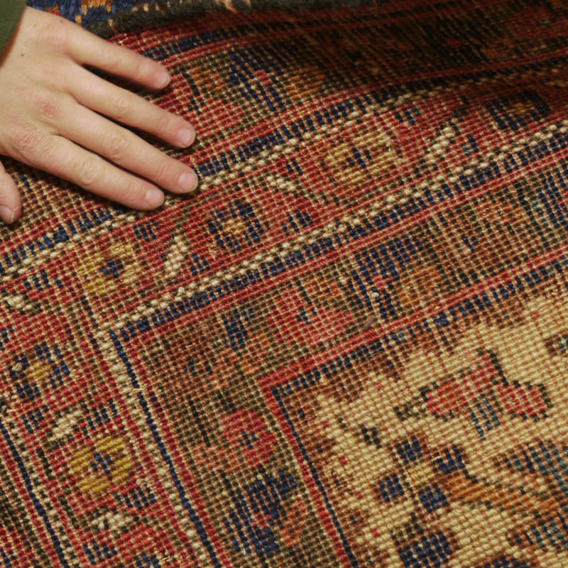 Neriz Afshar -  back side