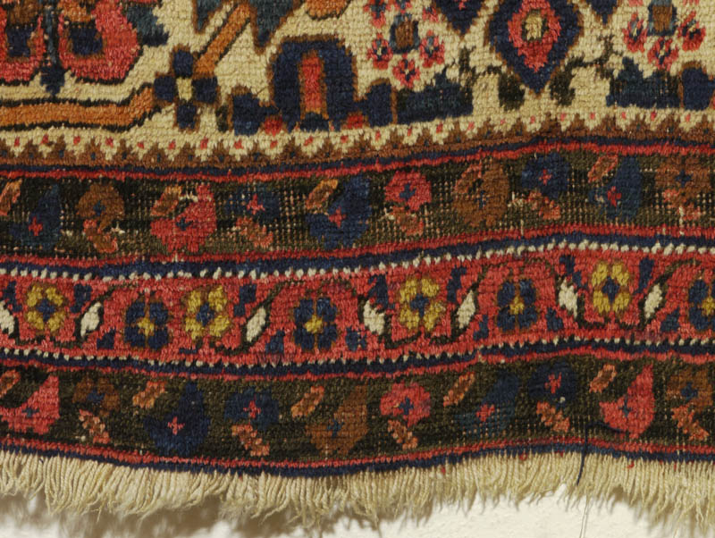Neriz Afshar - bottom end
