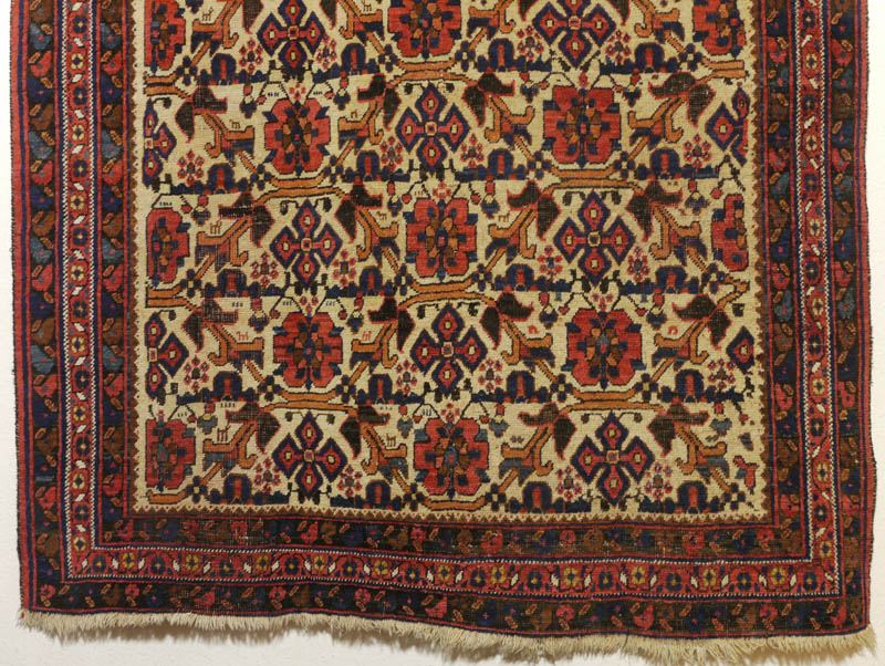 Neriz Afshar - bottom half