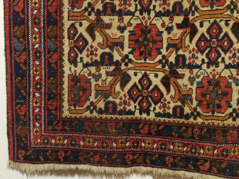 Neriz Afshar - bottom left corner