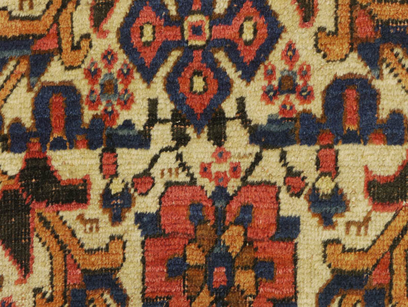 Neriz Afshar - field detail 1