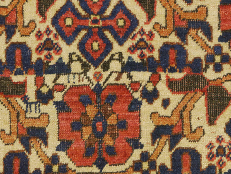 Neriz Afshar - field detail 2