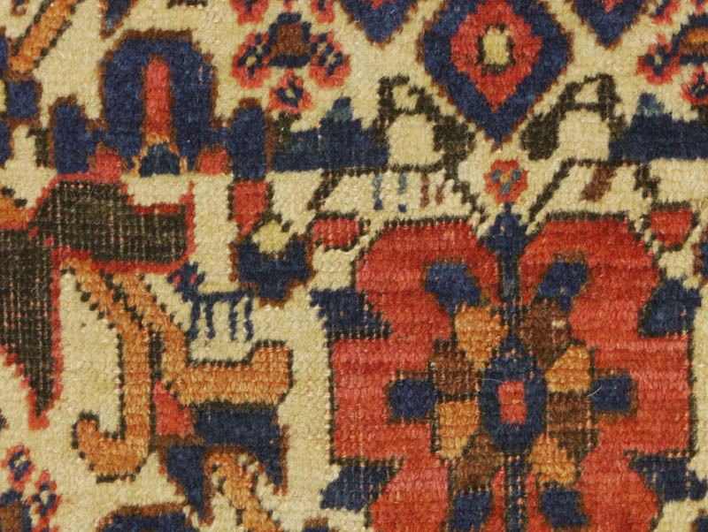 Neriz Afshar - field detail 3