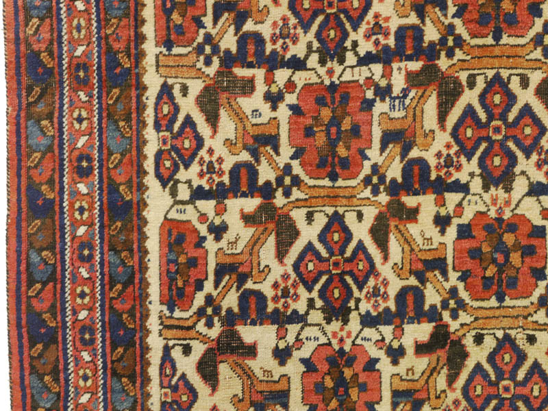 Neriz Afshar - left border + field